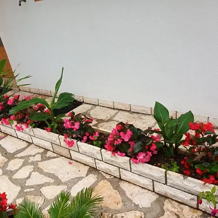 Apartment Leo Rovinj